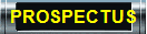 prospectus